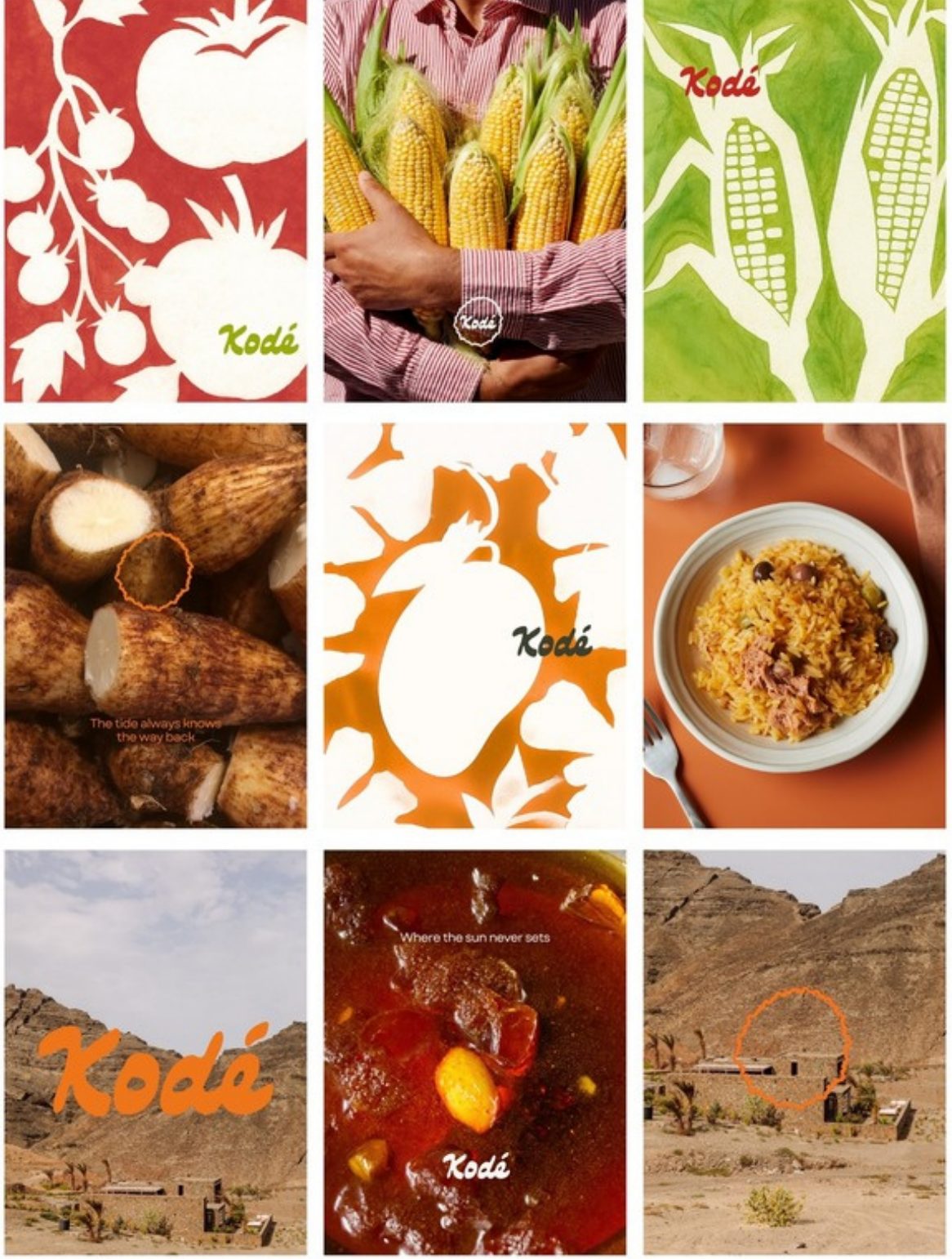 Kodé brand system: red, orange and green food illustrations